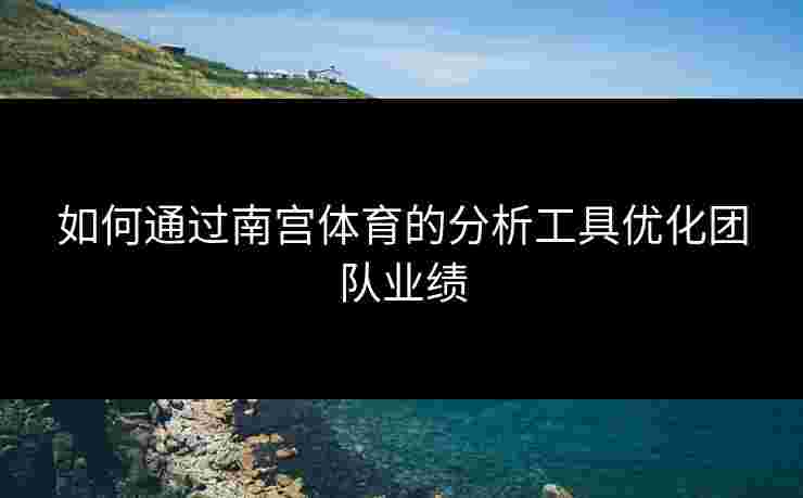 如何通过南宫体育的分析工具优化团队业绩